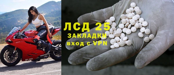 сатива Абаза