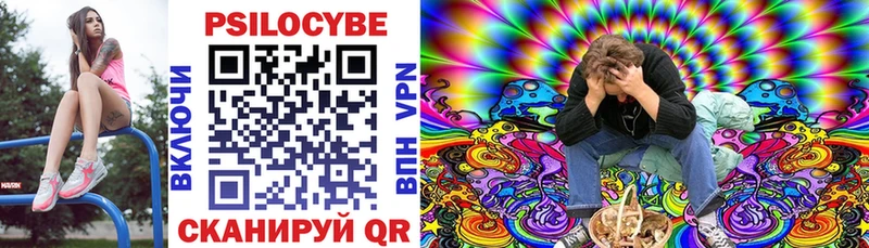 Галлюциногенные грибы Psilocybine cubensis  ОМГ ОМГ   Хадыженск 